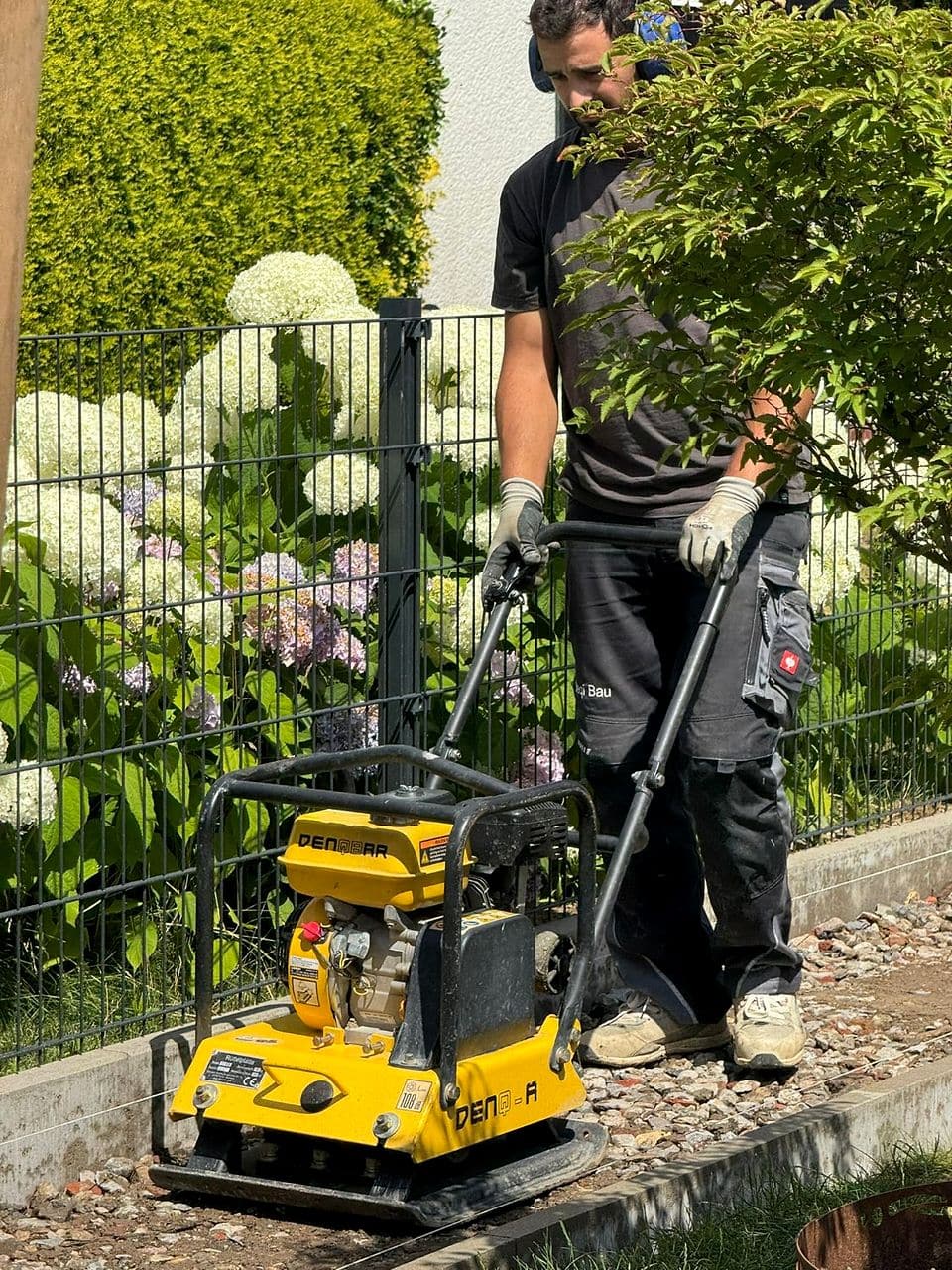 Der Unterbau zwischen den Einfassungen wird mit der Rüttelplatte verdichtet, dahinter Zaun und Hortensien